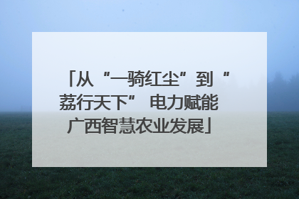 从“一骑红尘”到“荔行天下” 电力赋能广西智慧农业发展