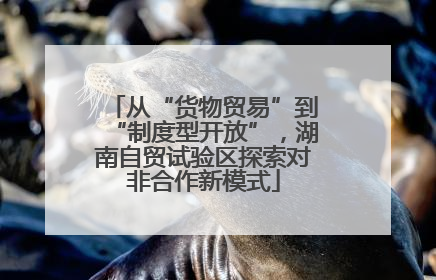 从“货物贸易”到“制度型开放”，湖南自贸试验区探索对非合作新模式