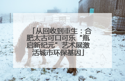 从回收到重生：合肥太古可口可乐“瓶启新纪元”艺术展激活城市环保基因