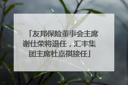 友邦保险董事会主席谢仕荣将退任，汇丰集团主席杜嘉祺接任