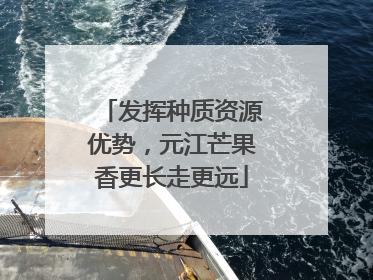 发挥种质资源优势，元江芒果香更长走更远