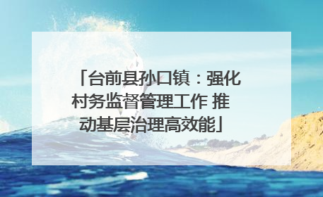 台前县孙口镇：强化村务监督管理工作 推动基层治理高效能