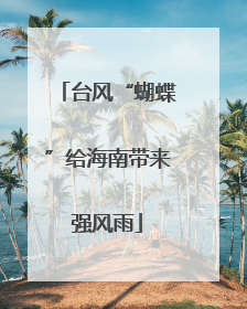 台风“蝴蝶”给海南带来强风雨