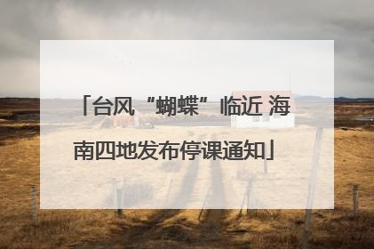 台风“蝴蝶”临近 海南四地发布停课通知