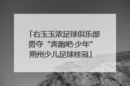 右玉玉浓足球俱乐部勇夺“奔跑吧·少年”朔州少儿足球桂冠