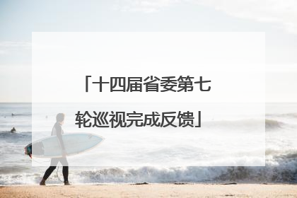 十四届省委第七轮巡视完成反馈