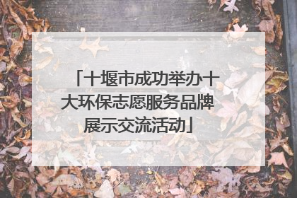 十堰市成功举办十大环保志愿服务品牌展示交流活动