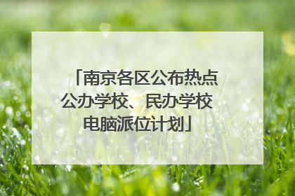 南京各区公布热点公办学校、民办学校电脑派位计划