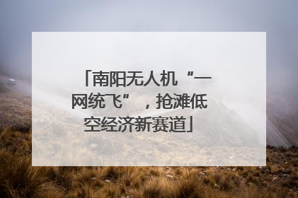 南阳无人机“一网统飞”，抢滩低空经济新赛道