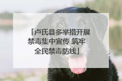 卢氏县多举措开展禁毒集中宣传 筑牢全民禁毒防线