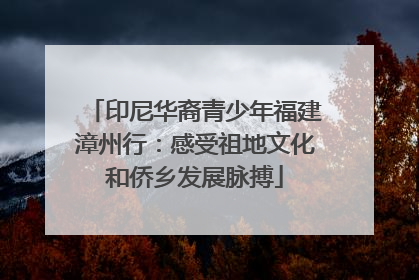 印尼华裔青少年福建漳州行：感受祖地文化和侨乡发展脉搏