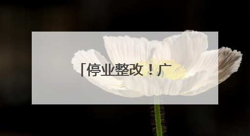 停业整改！广西一景区有游客从高空坠落