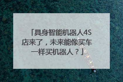 具身智能机器人4S店来了，未来能像买车一样买机器人？