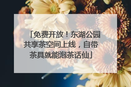 免费开放！东湖公园共享茶空间上线，自带茶具就能泡茶话仙