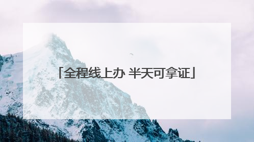全程线上办 半天可拿证