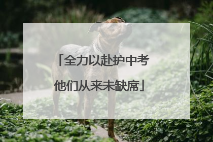 全力以赴护中考 他们从来未缺席