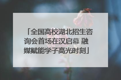 全国高校湖北招生咨询会首场在汉启幕 融媒赋能学子高光时刻