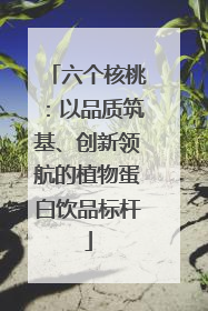 六个核桃：以品质筑基、创新领航的植物蛋白饮品标杆