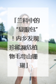 兰科中的“显眼包”！内乡发现珍稀濒危植物毛萼山珊瑚