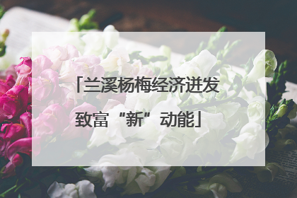 兰溪杨梅经济迸发致富“新”动能