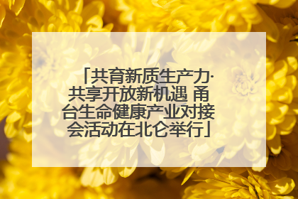 共育新质生产力·共享开放新机遇 甬台生命健康产业对接会活动在北仑举行