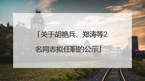 关于胡艳兵、郑涛等2名同志拟任职的公示