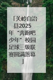 关岭自治县2025年“奔跑吧少年”校园足球三级联赛圆满落幕