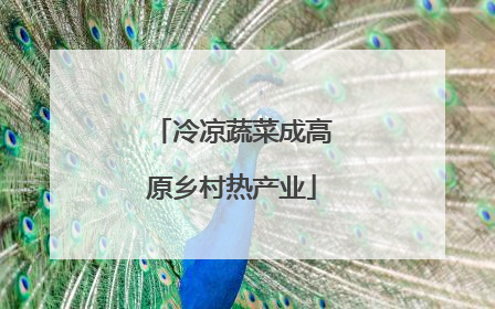 冷凉蔬菜成高原乡村热产业