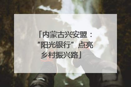 内蒙古兴安盟：“阳光银行”点亮乡村振兴路