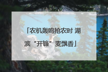 农机轰鸣抢农时 湖滨“开镰”麦飘香
