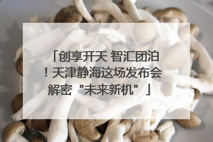 创享开天 智汇团泊！天津静海这场发布会解密“未来新机”