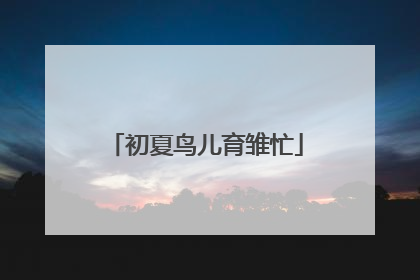 初夏鸟儿育雏忙