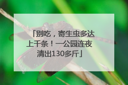 别吃，寄生虫多达上千条！一公园连夜清出130多斤