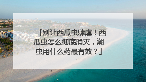 别让西瓜虫肆虐！西瓜虫怎么彻底消灭，潮虫用什么药最有效？