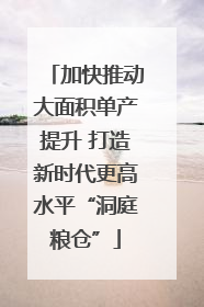 加快推动大面积单产提升 打造新时代更高水平“洞庭粮仓”