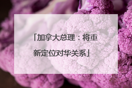 加拿大总理：将重新定位对华关系