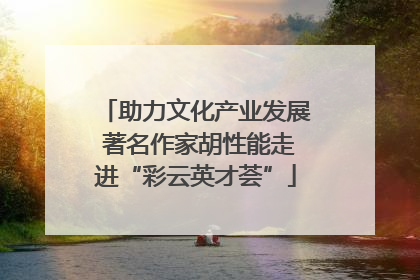 助力文化产业发展 著名作家胡性能走进“彩云英才荟”