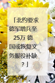 北约要求德军增兵至25万 德国或恢复义务服役补缺？