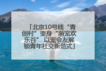 北京10号线“青创村”变身“萌宠欢乐谷” 以宠会友解锁青年社交新范式