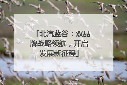 北汽蓝谷：双品牌战略领航，开启发展新征程