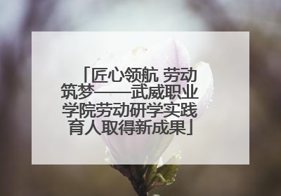 匠心领航 劳动筑梦——武威职业学院劳动研学实践育人取得新成果