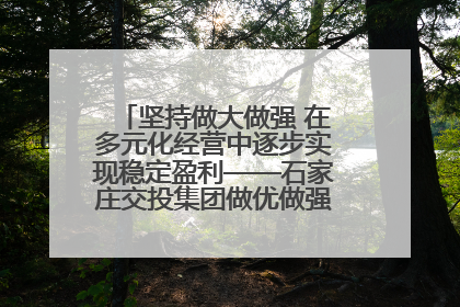 坚持做大做强 在多元化经营中逐步实现稳定盈利——石家庄交投集团做优做强典型报道之三