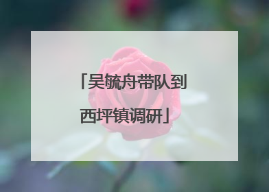 吴毓舟带队到西坪镇调研