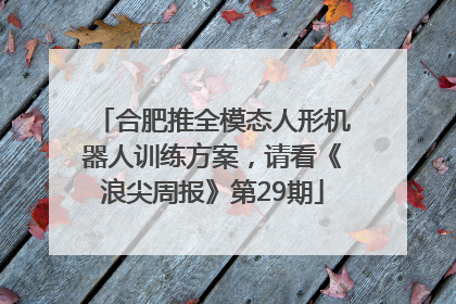 合肥推全模态人形机器人训练方案，请看《浪尖周报》第29期