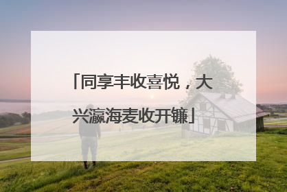 同享丰收喜悦，大兴瀛海麦收开镰