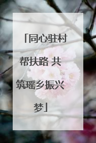 同心驻村帮扶路 共筑瑶乡振兴梦