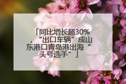 同比增长超30%，“出口车辆”成山东港口青岛港出海“头号选手”