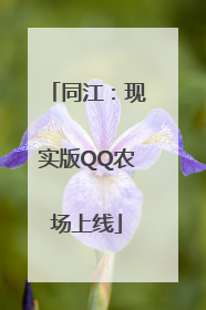 同江：现实版QQ农场上线