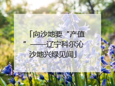 向沙地要“产值”——辽宁科尔沁沙地兴绿见闻