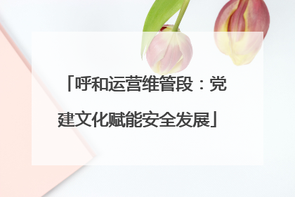 呼和运营维管段：党建文化赋能安全发展